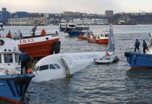 ¿Por qué se dan y cuán comunes son los accidentes de aviones con aves?
