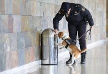 Airbus planea usar sensores de olor para identificar explosivos y otras sustancias peligrosas