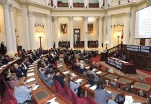 Julián Palacin: «La Constitución Política respalda el derecho del Perú a tener una Línea Aérea de Bandera con capital  público-privado