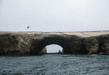 Cámara de Turismo y Comercio Exterior de Paracas (CAPATUR), apoya al Congreso en el Proyecto de Ley de la Línea Aérea de Bandera de Bajo Costo del Perú