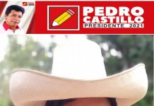 Pedro Castillo desautoriza a Zaira Arias como vocera de Perú Libre