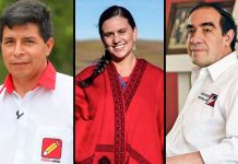 Pedro Castillo supera a Lescano y Mendoza en el Sur del país, según IEP