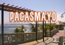 Con Perú Libre se construiría el Aeropuerto Internacional de Pacasmayo para la Agroexportación