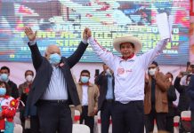 Pedro Castillo designó a Julian Palacin Fernández como parte de su Equipo Técnico