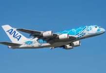 Japón aprueba vuelo de flota mixta para ANA