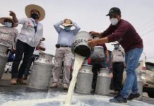 Indecopi anuncia estudio de mercado para evaluar la competencia en el sector lácteo