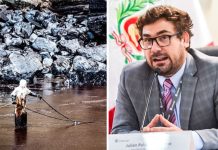 Presidente del Indecopi: ‘Por culpa o por riesgo Repsol debe indemnizar al Perú’