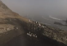 La mancha negra que devora un país