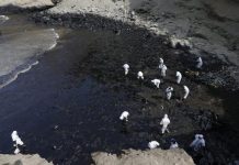 Gobierno dispone paralización de actividades de carga y descarga de hidrocarburos de Repsol