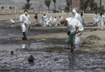 A un mes del derrame de petróleo en Ventanilla: multas a Repsol, cambio de ministros, fauna en peligro y avances