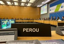 El PERU, sesiona sobre Cooperación y Desarrollo Económico en la OCDE en Francia