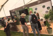 Perú vuela alto: se posiciona como destino líder de aviturismo en los Global Birdfair 2022