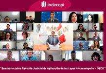 La OCDE y el Indecopi capacitan a jueces de América Latina sobre los desafíos en la lucha contra los cárteles empresariales