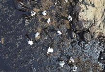 Juez admite demanda de Indecopi contra Repsol por US$ 4,500 millones en caso de derrame de petróleo