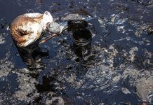 Derrame de petróleo: OEFA impone tres nuevas multas a Repsol por 22.2 millones de soles