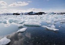 ¡Atención! Científicos identifican 27 nuevas amenazas que aceleran el cambio climático