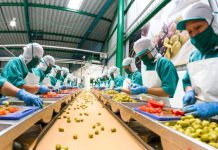 Indecopi suspende procedimiento principal sobre medidas que prohíben tercerización laboral hasta que PJ resuelva recursos de acción popular