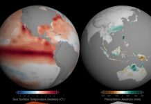 ¿Qué es El Niño global?, ¿Cómo se diferencia de El Niño costero y cómo afectaría al Perú?
