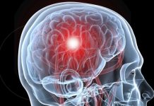 «Descubren en el cerebro humano un nuevo tipo de células con implicaciones en el alzhéimer, el párkinson y la epilepsia»