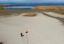 El Lago Titicaca, El cuerpo de agua navegable más alto del mundo, se está secando