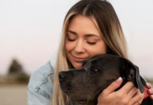 ¿Preferencia Canina? Un Estudio Arroja Luz sobre la Relación entre Perros y Género