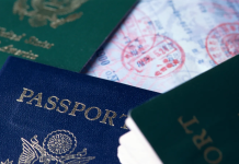 Guía para Entender un Pasaporte: ¿De Qué Color es el Tuyo y Qué Significa?