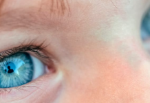 ¿Revela el Color de Tus Ojos Aspectos de Tu Personalidad? Un Vistazo a la Ciencia de la Cromatología Ocular