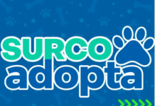 «Surco Adopta: Plataforma Web para Facilitar la Adopción de Animales Rescatados»
