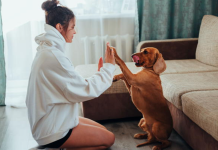 «Investigación Demuestra que los Perros Responden de Forma Preferente a la Voz de Mujeres»