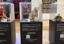 «Naturaleza que cuido»: Exposición Artística Busca Concientizar a las Personas sobre las Áreas Naturales Protegidas del Perú