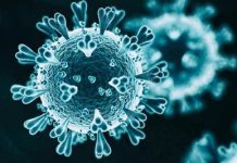 «Tentativas iniciales señalan que la nueva cepa de covid-19 podría ser menos transmisible de lo previsto»