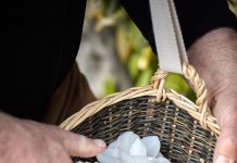 Una amplia selección de 2.000 variedades y 900 kilos de flores para crear cremas espectaculares