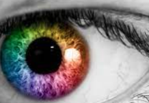Salud Ocular: ¿Por Qué no Todos Vemos los Colores de la Misma Manera?