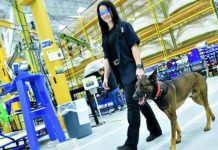 Compromiso con la diversidad y la inclusión en Boeing