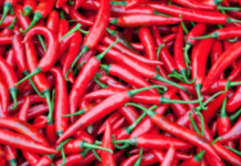 Este pimiento es el más picante del mundo, según el Guinness World Records