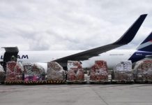 LATAM Airlines transporta 196 caballos para los Juegos Panamericanos 2023 y refuerza su liderazgo en el transporte de flores