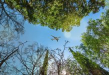 Valida SITA sus objetivos de reducción de emisiones