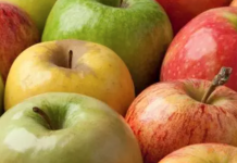 «Manzanas Verdes y Rojas: Más que un Fruto, un Universo de Sabores y Nutrición