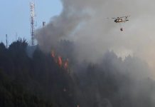 Perú, Chile, Estados Unidos y Canadá enviarán ayuda a Colombia para enfrentar su ola de incendios