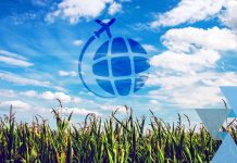 Firman ALTA y TIACA acuerdo para impulsar la aviación en América Latina