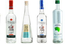 Mejores marcas y modelos de pisco 2024