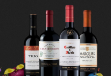 Mejores marcas y modelos de vinos con descripciones detalladas de cada uno