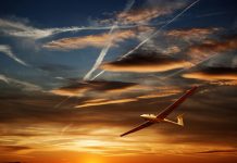 Caso Padovano: SENASA condenada por el Tribunal Supremo