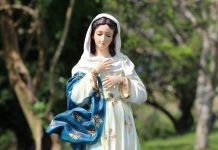 Historia del Colegio La Inmaculada Concepción