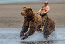 Cosas que no sabías sobre Vladimir Putin