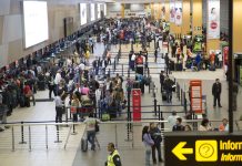 Regresa tráfico e ingresos de clase premium: IATA