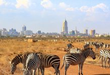 Aplazan empleados del Aeropuerto de Nairobi huelga para negociar trabajos de ampliación