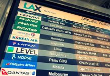 Récord histórico de pasajeros en aeropuertos de EE. UU. el domingo posterior al Día de Acción de Gracias