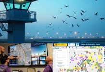 Medidas Mitigadoras para Evitar Incidentes Relacionados con el Impacto con Aves