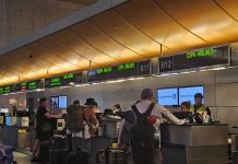 Refleja tráfico interregional una recuperación sólida y creciente: IATA